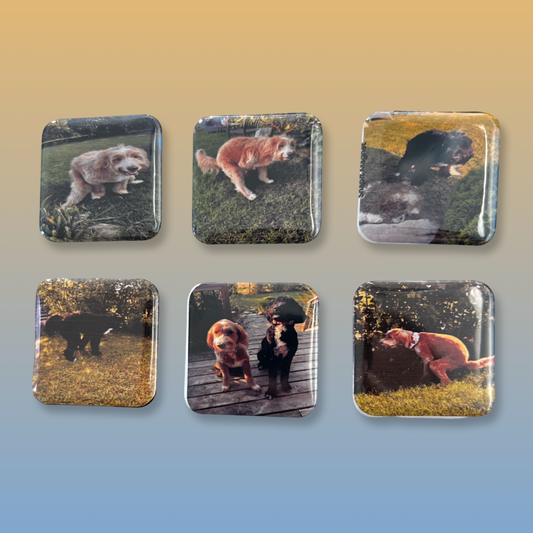 Square hard Photo Magnet Pack of 6 (1.5”x1.5”)